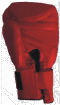 Click To Enlarge